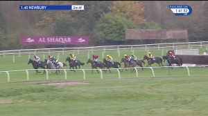 Video preview image for Newbury 13:40 - Dawnus Handicap Chase (Qualifier) (3)