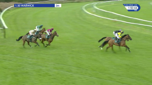 Video preview image for Warwick 13:50 - Integral Novices' Chase (3)