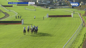 Video preview image for Kelso 12:15 - George Harrow Memorial Novices' Hurdle (4)