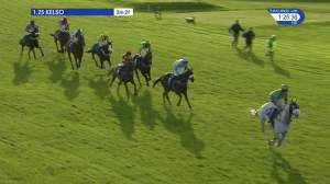 Video preview image for Kelso 13:25 - Graeme Todd and Friends Handicap Hurdle (Qualifier) (3)