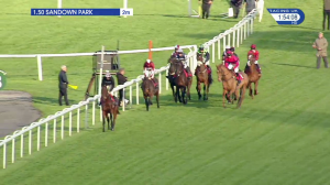 Video preview image for Sandown Park 13:50 - Download The App At 188Bet Maiden Hurdle (4)