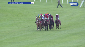 Video preview image for Kempton Park 16:00 - BetVictor Proud Supporters Of Greatwood Conditional Jockeys' Handicap Hurdle (4)