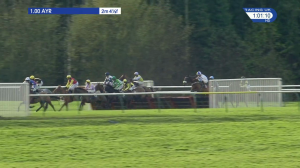 Video preview image for Ayr 13:00 - Book Now For The Coral Scottish Grand National Maiden Hurdle (5)