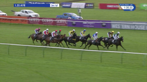 Video preview image for Ayr 13:35 - Award Winning Weddings At Western House Hotel Handicap Hurdle (Qualifier) (4)