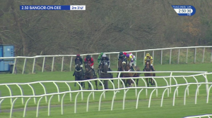 Video preview image for Bangor-On-Dee 14:50 - Rea Valley Tractors Handicap Hurdle (2)