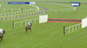 Video preview image for Bangor-On-Dee 15:20 - Pertemps Network Juvenile Maiden Hurdle (4)