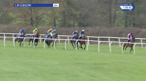 Video preview image for Ludlow 13:55 - Bernard Hart's Finishing Strongly 70th Birthday Novices' Handicap Chase (4)