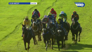 Video preview image for Ascot 12:20 - Mitie Events & Leisure Novices' Hurdle (2)