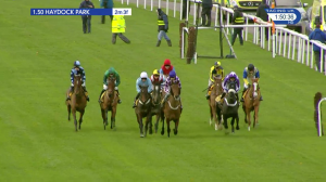 Video preview image for Haydock Park 13:50 - Betfair Exchange Handicap Hurdle (2)