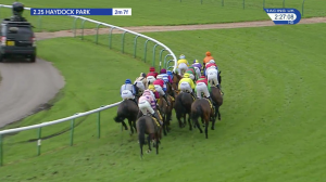 Video preview image for Haydock Park 14:25 - Betfair Stayers' Handicap Hurdle (Grade 3) (1)