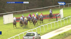 Video preview image for Exeter 12:55 - Gail Harrison - A Lifetime In Racing Handicap Hurdle (5)