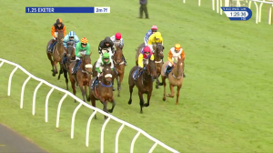 Video preview image for Exeter 13:25 - Happy 75th Birthday Belinda Lyon Smith Handicap Hurdle (4)