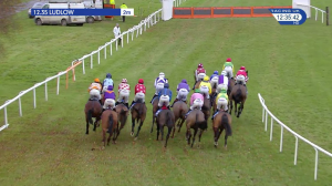 Video preview image for Ludlow 12:35 - Placepot Quadpot Two Bets One Slip Maiden Hurdle (4)