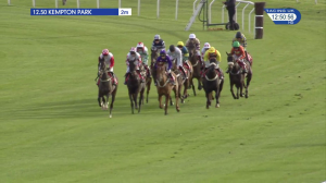 Video preview image for Kempton Park 12:50 - British Stallion Studs EBF 'National Hunt' Novices' Hurdle (Qualifier) (4)