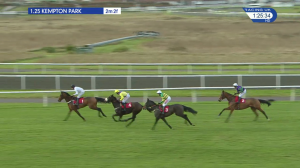 Video preview image for Kempton Park 13:25 - racinguk.com Novices' Chase (4)