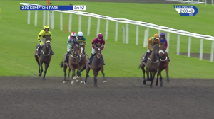Video preview image for Kempton Park 14:00 - Olbg Mares' Hurdle (Listed) (1)