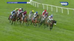 Video preview image for Wetherby 12:25 - wetherbyracing.co.uk Juvenile Maiden Hurdle (4)
