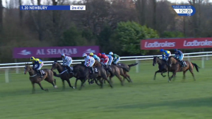 Video preview image for Newbury 13:20 - Ladbrokes Novices' Hurdle (3)
