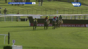 Video preview image for Bangor-On-Dee 13:35 - Bangor On Dee Handicap Chase (Qualifier) (3)