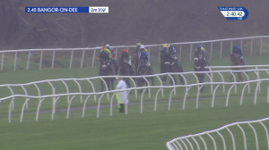 Video preview image for Bangor-On-Dee 14:40 - Roger and Carola Glover Golden Wedding Novices' Hurdle (4)