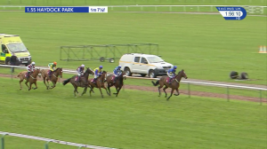 Video preview image for Haydock Park 13:55 - Hugh Denning 80th Birthday Novices' Hurdle (4)