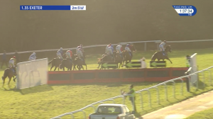 Video preview image for Exeter 13:35 - Prydis Handicap Hurdle (3)