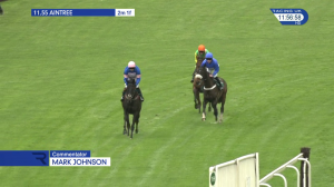 Video preview image for Aintree 11:55 - Free Spins At 188Bet Casino Novices' Hurdle (Qualifier) (3)