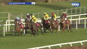 Video preview image for Sandown Park 12:05 - Ipa Purchasing 'National Hunt' Novices' Hurdle (3)