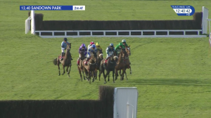 Video preview image for Sandown Park 12:40 - Ipa Cleaning & Hygiene Mares' Handicap Hurdle (Qualifier) (3)