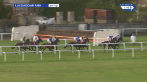 Video preview image for Sandown Park 13:10 - Pertemps Network Handicap Hurdle (Qualifier) (2)