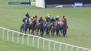 Video preview image for Newbury 12:30 - St. James's Place Juvenile Hurdle (4)