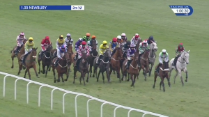 Video preview image for Newbury 13:00 - Worshipful Company Of Distillers Maiden Hurdle (4)