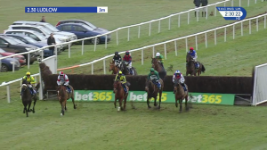 Video preview image for Ludlow 14:30 - Tanners Champagne Handicap Chase (3)
