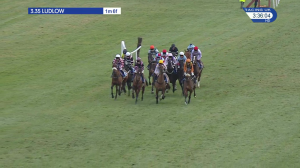 Video preview image for Ludlow 15:35 - Tanners Claret Standard Open National Hunt Flat (4)