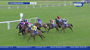 Video preview image for Wincanton 12:25 - Bathwick Tyres Novices' Handicap Hurdle (4)