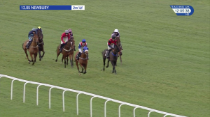 Video preview image for Newbury 12:05 - Betfred '£5k Bto Cash Draw Today' Juvenile Hurdle (3)