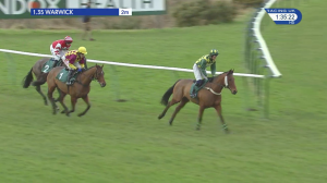 Video preview image for Warwick 13:35 - Local Parking Security Novices' Chase (4)