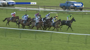 Video preview image for Ayr 13:00 - Book For The Ayrshire Wedding Show Handicap Hurdle (Qualifier) (4)
