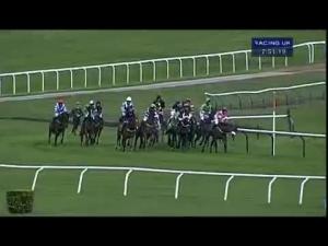 Video preview image for Cheltenham 19:50 - Moss Fallon Hunters' Chase