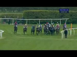 Video preview image for Kelso 20:00 - Gordon Thomson Retirement Handicap Hurdle