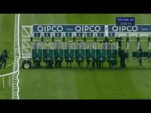 Video preview image for Newmarket 14:30 - Qatar Bloodstock Jockey Club Stakes (Group 2)