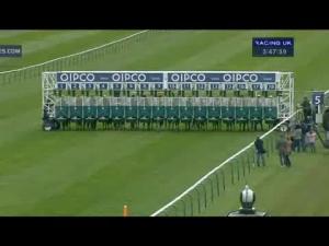 Video preview image for Newmarket 15:45 - Pearl Bloodstock Palace House Stakes (Group 3)