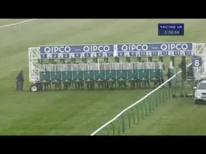 Video preview image for Newmarket 17:30 - QIPCO Supports Racing Welfare Handicap