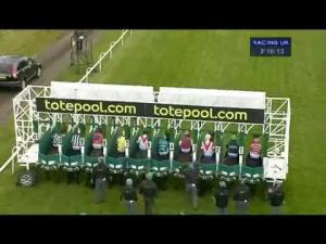 Video preview image for Hamilton Park 14:15 - Bet With Totepool On The Guineas Handicap