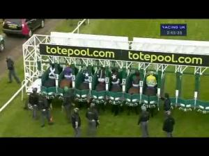 Video preview image for Hamilton Park 14:45 - Cancer Research UK Claiming Stakes