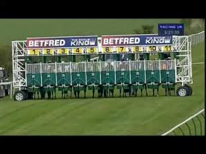 Video preview image for Salisbury 17:20 - Betfred Bonus King Bingo Lady Riders' Handicap (Amateurs)