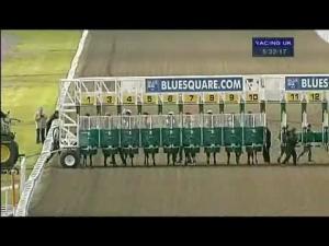 Video preview image for Kempton Park 17:20 - Follow Us On Twitter At Bluesq Handicap