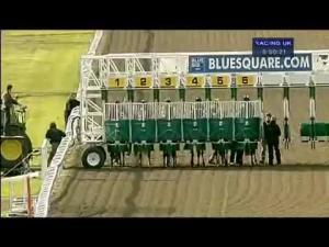 Video preview image for Kempton Park 17:50 - Bet and Watch At bluesquare.com Fillies' Handicap