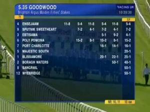 Video preview image for Goodwood 17:35 - Brighton Argus Maiden Fillies' Stakes