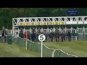 Video preview image for Nottingham 14:45 - Box Clever Display Median Auction Maiden Stakes